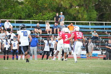 Enlarge photo 152