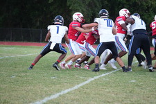 Enlarge photo 195