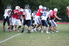 Enlarge photo 201