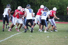 Enlarge photo 203