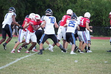 Enlarge photo 204
