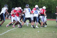 Enlarge photo 206
