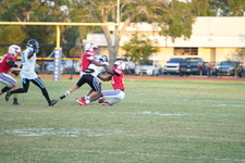 Enlarge photo 268