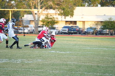 Enlarge photo 269