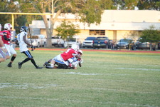 Enlarge photo 270