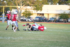 Enlarge photo 273