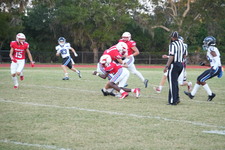 Enlarge photo 279