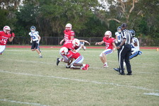 Enlarge photo 280