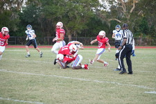 Enlarge photo 281