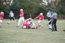 Enlarge photo 282