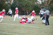 Enlarge photo 284