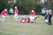 Enlarge photo 283