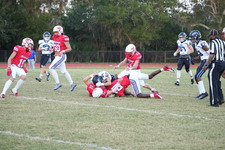 Enlarge photo 285