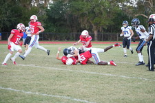 Enlarge photo 286