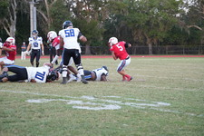 Enlarge photo 304