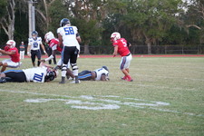 Enlarge photo 305