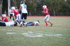 Enlarge photo 307