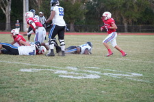 Enlarge photo 308