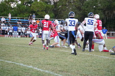 Enlarge photo 311