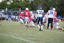 Enlarge photo 312