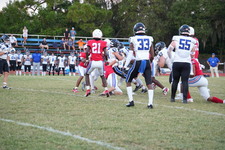 Enlarge photo 313