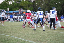 Enlarge photo 314