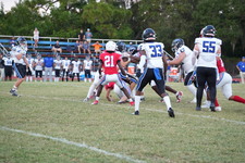 Enlarge photo 315