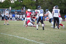 Enlarge photo 316