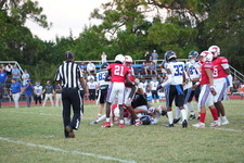 Enlarge photo 317