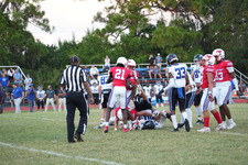Enlarge photo 318