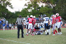 Enlarge photo 319