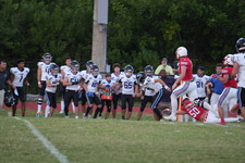 Enlarge photo 336