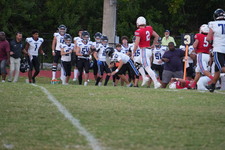 Enlarge photo 337