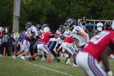 Enlarge photo 342