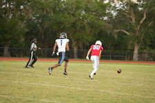 Enlarge photo 421