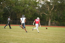 Enlarge photo 422