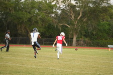 Enlarge photo 423