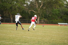 Enlarge photo 424