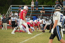 Enlarge photo 442