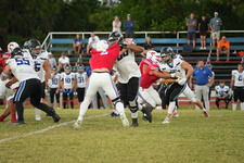 Enlarge photo 450