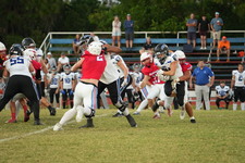 Enlarge photo 453
