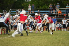 Enlarge photo 455