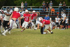 Enlarge photo 456