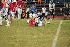 Enlarge photo 457