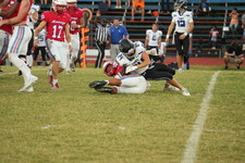 Enlarge photo 459