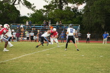 Enlarge photo 475