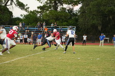 Enlarge photo 478
