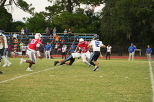 Enlarge photo 479