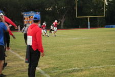 Enlarge photo 493