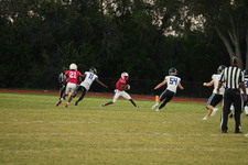 Enlarge photo 492